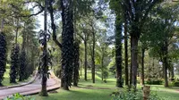 Kebun Raya Bedugul. (dok. Kebun Raya "Eka Karya" Bali)