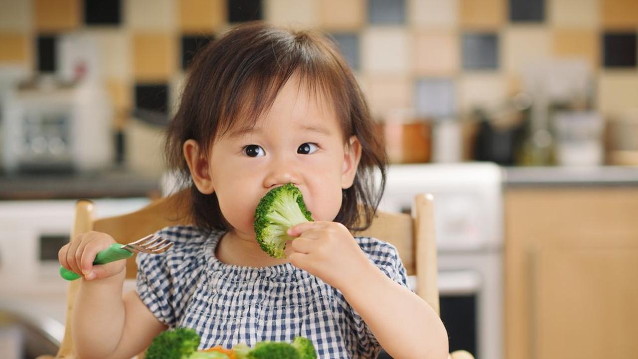 Fakta Anak Terakhir