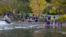 Warga menyaksikan sejumlah ikan salmon bermigrasi ke lokasi untuk bertelur di Sungai Humber di Toronto, Kanada, 18 Oktober 2020. Setiap musim gugur, ribuan ikan salmon di banyak sungai di Ontario berenang menuju ke hulu untuk bertelur, menarik perhatian warga juga para pemancing. (Xinhua/Zou Zheng)