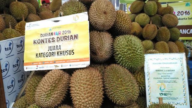 Festival Durian Blok M Square Umumkan Jawara Kontes Durian
