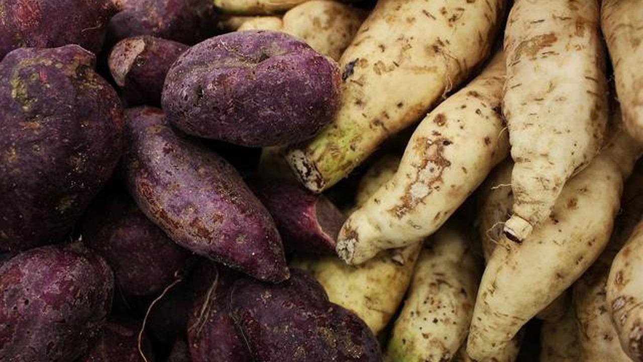 Manfaat Ubi Jalar untuk Sarapan, Cocok untuk Diet Optimal