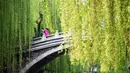Pasangan berjalan menikmati pemandangan musim semi di sepanjang parit di Jinan, Provinsi Shandong, China timur. (Xinhua/Wang Kai)
