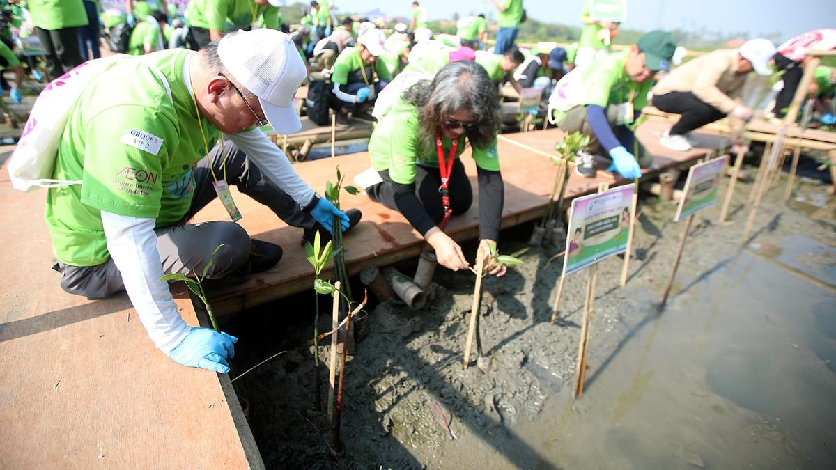 Tanam 1.000 Bakau, Upaya Cegah Banjir dan Serap Karbon Dioksida di Pesisir Tangerang