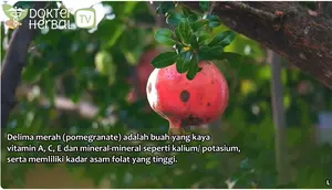 Dokter Herbal Ungkap Cara Manfaatkan Delima Merah untuk Kecantikan