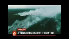 200 hektar lahan gambut di Aceh Barat habis dilalap api. Petugas BPBD, TNI, Polri, dan warga terus berupaya padamkan titik api.