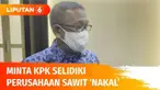 Banjir di Kalimantan Barat tak kunjung surut, Gubernur Sutarmidji menuding perusahaan industri sawit jadi penyebabnya. Bahkan Ia pun menyarankan KPK untuk menyelidiki perusahaan yang terindikasi nakal.