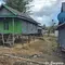Kembali ke Rumah Panggung: Rahasia Leluhur NTT Selamat dari Gempa