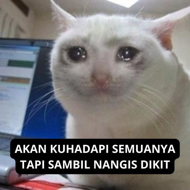 6 Meme Kondisi Mahasiswa Sedang Skripsi Ini Bikin Senyum Tipis