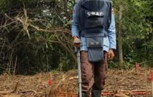 Mencekam, Ribuan Bahan Peledak Zaman Perang Ditemukan di Sekolah