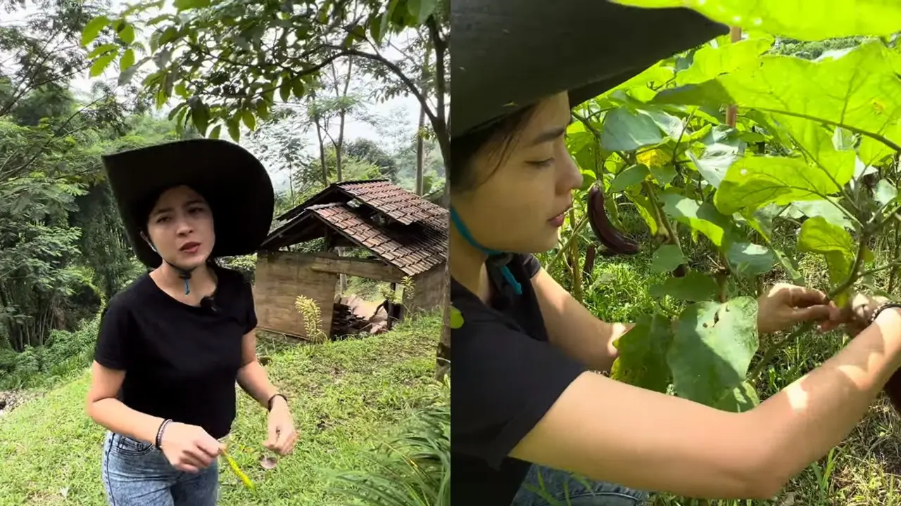 Angelina Ci di Rumah Hutan