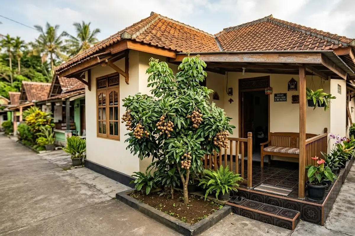Cara Mengerdilkan Pohon Kelengkeng
