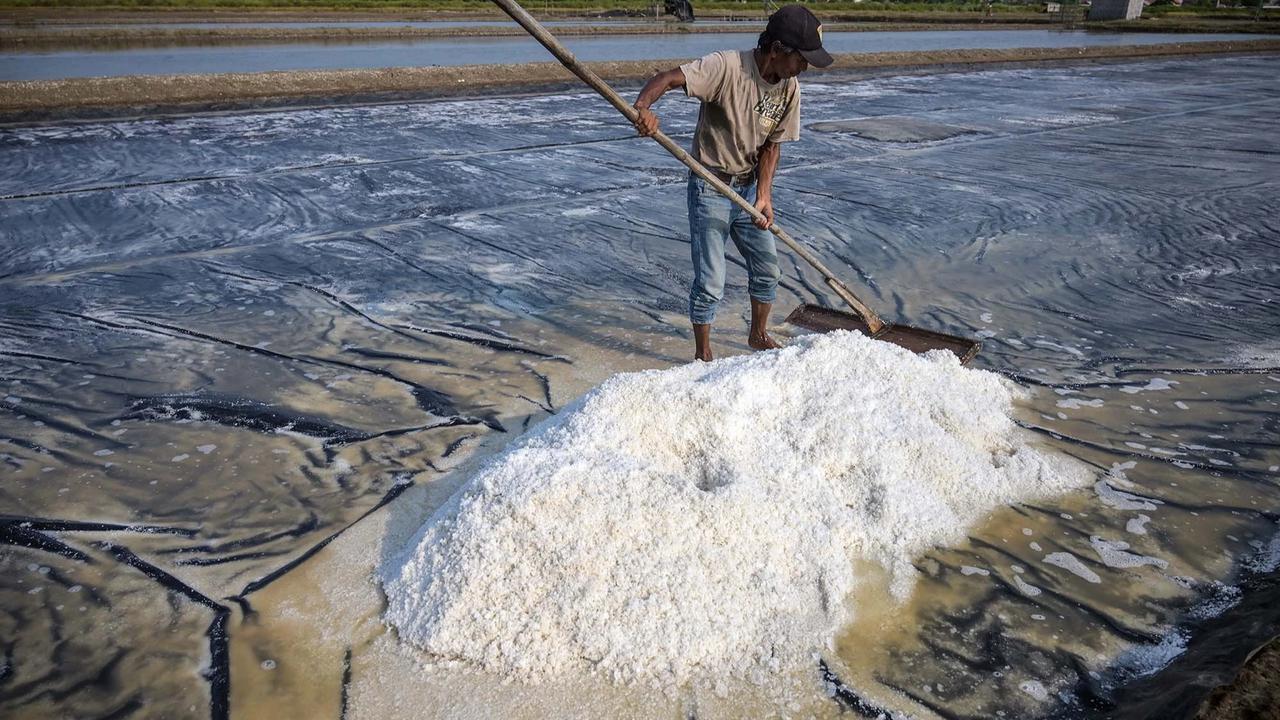 FOTO: Produksi Garam Rakyat Digenjot Kurangi Ketergantungan Impor