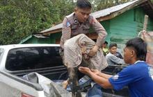 Korban Bencana Alam Sumut Meninggal Dunia Capai 374 Jiwa, Data Terbaru Pusdalops PB
