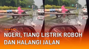 Sebuah tiang listrik roboh dan menghalangi jalan mengundang perhatian.