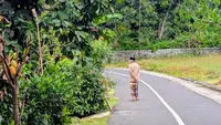 Ramadan Telah Usai, Ini 4 Pelajaran yang Bisa Dipetik dan Diterapkan Dalam Kehidupan