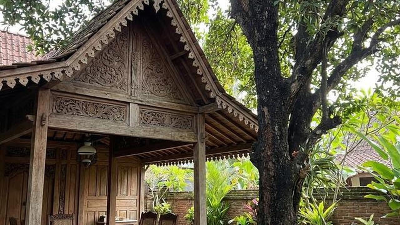 8 Jenis Pohon Buah Tahan Kemarau untuk Pekarangan Rumah, Tetap Panen di Musim Kering