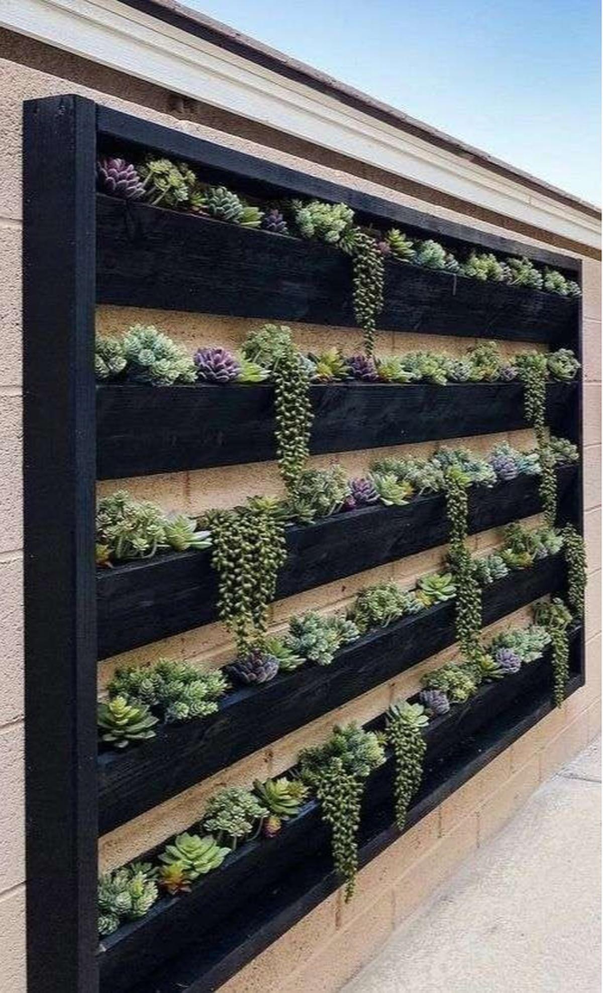 Desain Vertical Garden Minimalis