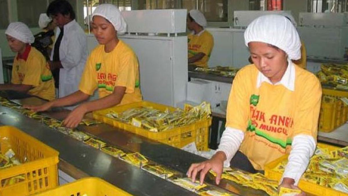 Sido Muncul Buka Lowongan Kerja Terbaru, Cek Posisinya di Sini