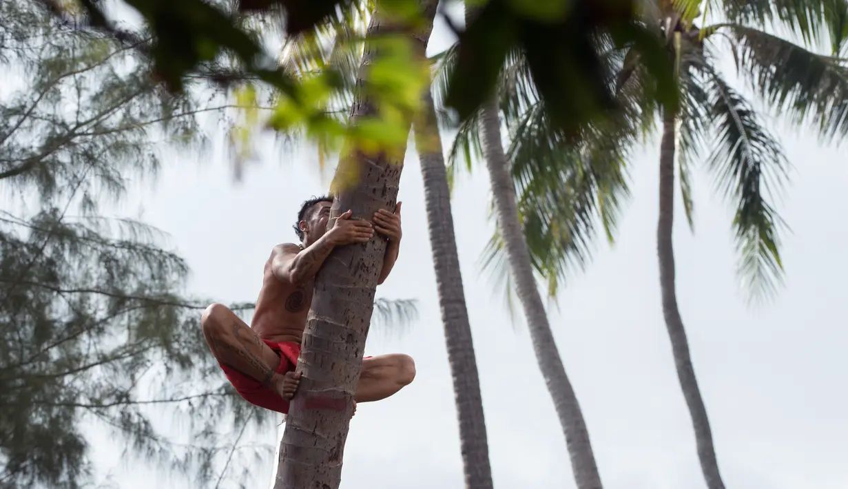 Seorang pria memanjat pohon saat mengikuti kejuaraan dunia pertama panjat pohon kelapa di Papeete, Polinesia (15/7). Kompetisi ini juga sebagai bagian dari festival budaya besar bagi orang Polinesia. (AFP Photo/Gregory Boissy)