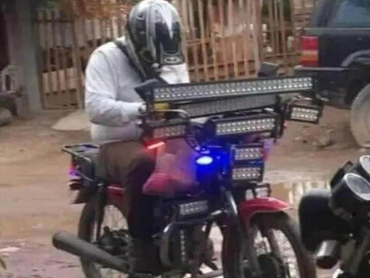 Siap Terabas Hutan