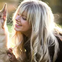 Nggak cuma manusia, anjing-anjing ini juga bisa bicara lho!