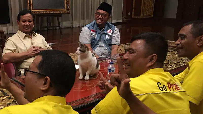 Kucing Prabowo