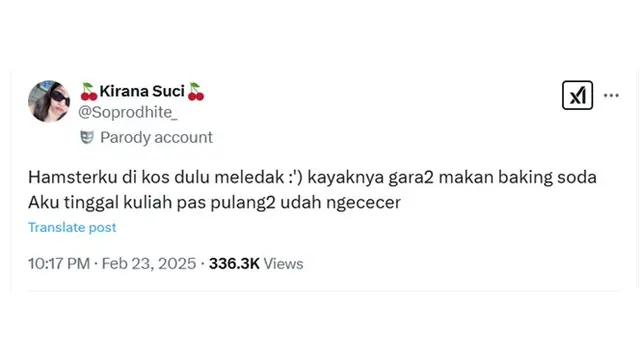 6 Cerita Netizen Hamster Peliharaannya Mati Ini Bikin Sedih Sekaligus Ngakak