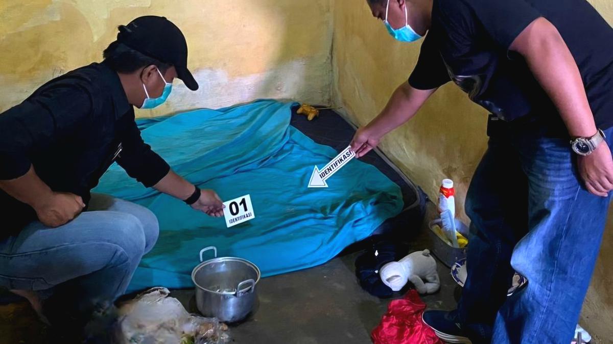 Bayi di Luwu Sulsel Tewas Dianiaya Kekasih Ibu Pakai Balok Kayu