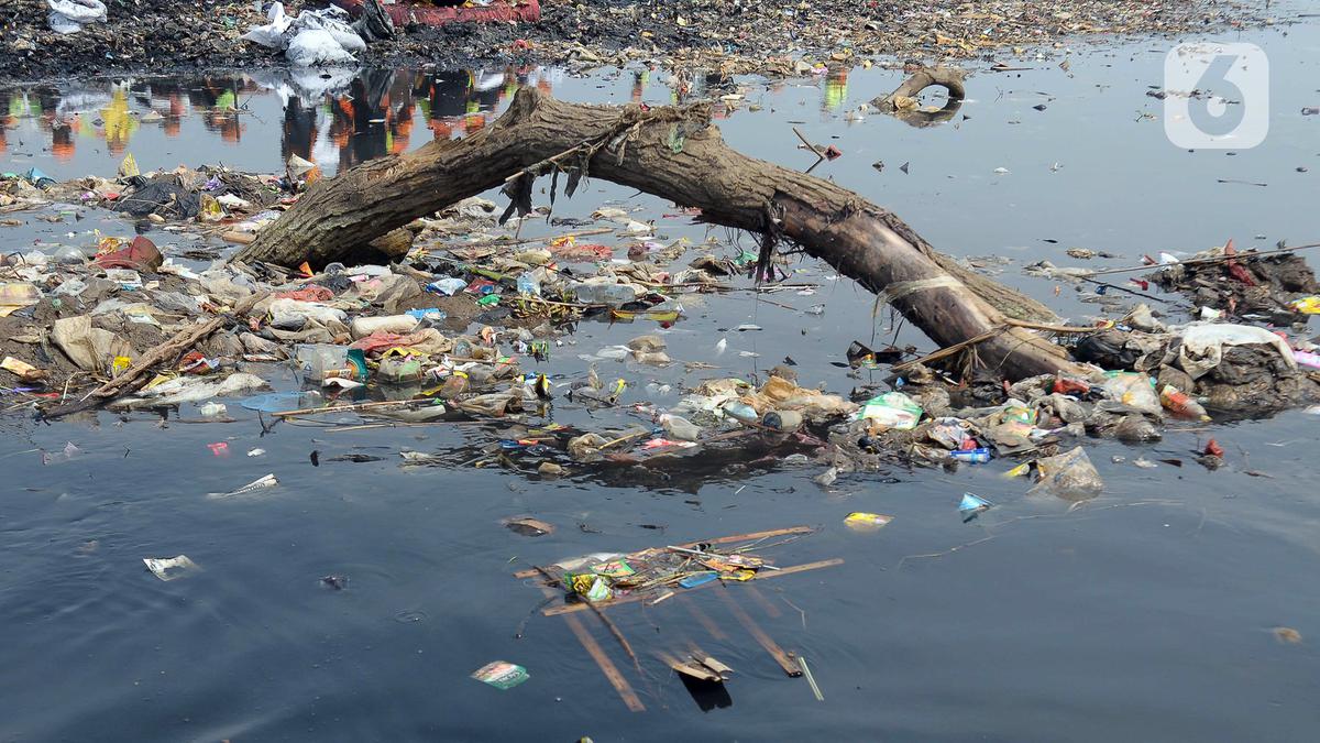 Kejar Target Kurangi 70% Sampah Plastik ke Laut di 2025, Pemulung Ikut Ambil Bagian Berita Viral Hari Ini Jumat 17 Mei 2024