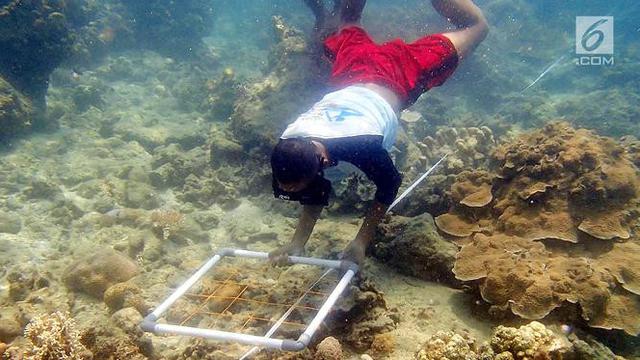 PHOTO: Tumbuhkan Kepedulian Melalui Gerakan Cinta Laut