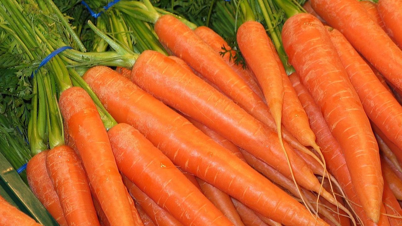 Pakar Ungkap Bahwa Wortel Bukan Satu-satunya Makanan Sehat untuk Mata
