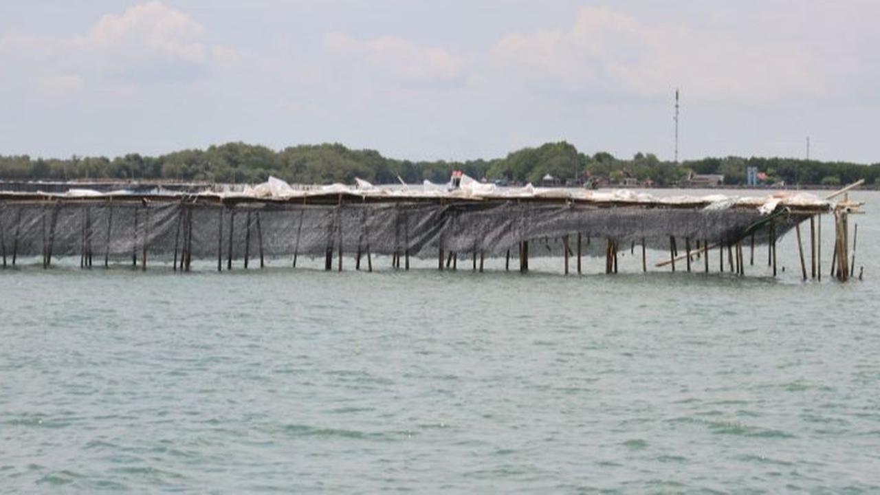 Cerita Warga Pulau Cangkir Tolak Mentah-Mentah Tawaran Proyek Pagar Laut Pantura Tangerang