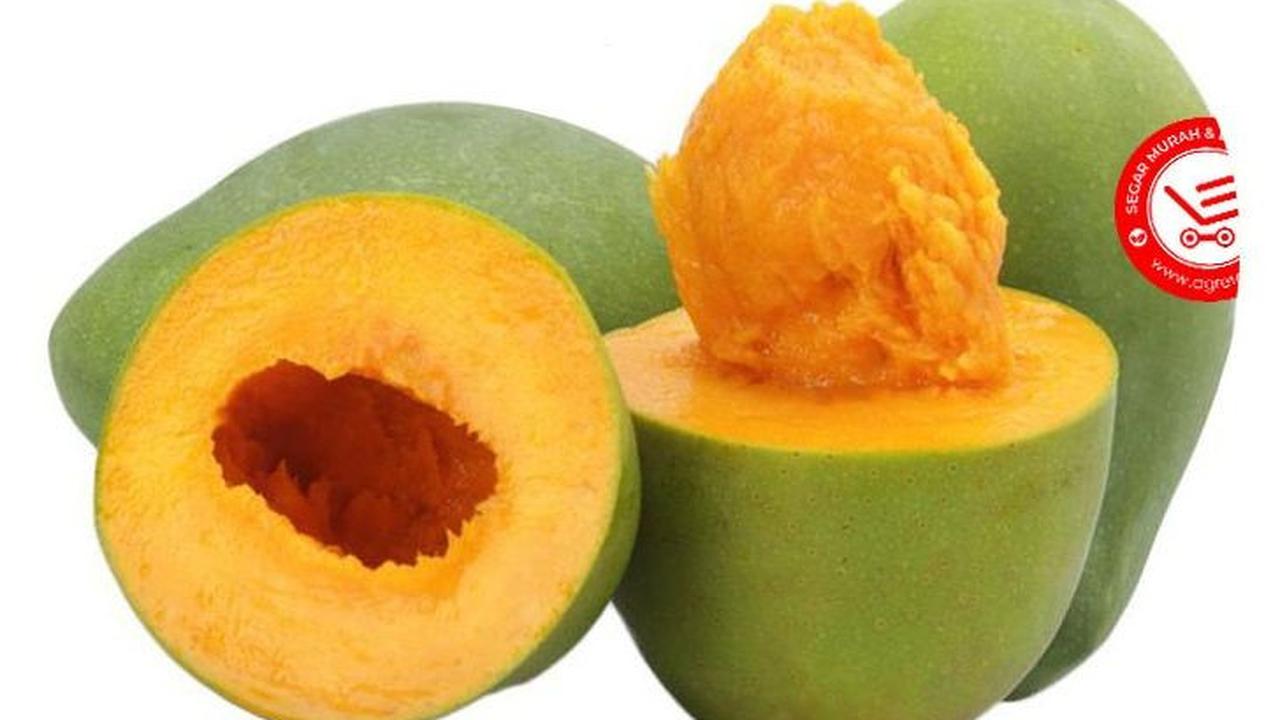 Mangga Alpukat