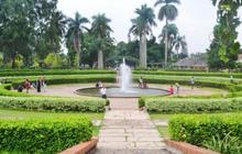 Berwisata Ruang Terbuka di Kota Depok, Ada Taman Wiladatika yang Bikin Tenang Seketika
