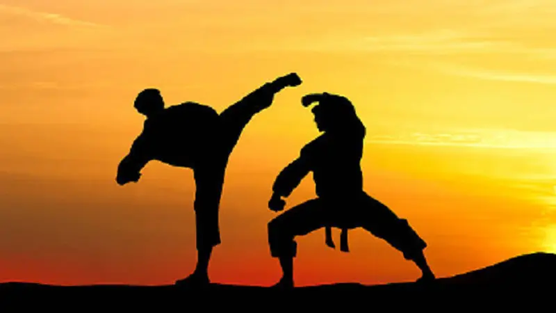 Ilustrasi Martial Arts (iStock)