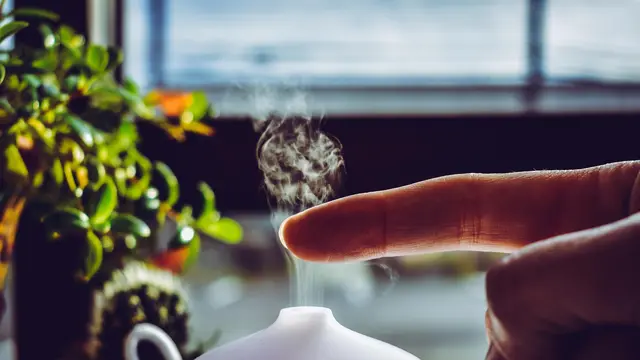 4. Mengurangi Gejala Alergi