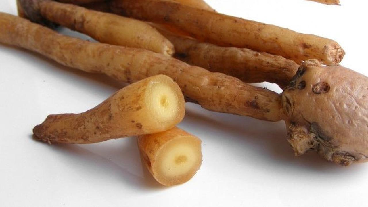 Resep Jamu Temu Kunci Segar