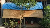 6 Posisi Kandang Ayam yang Tidak Kena Panas Langsung, Strategi Produktivitas Optimal