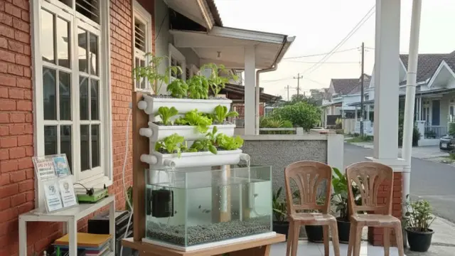 Ilustrasi Kebun Sayur Aquaponik Mini/Gemini AI