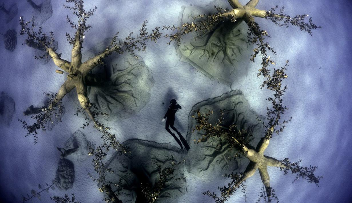 Penyelam bebas Angels Savvas berenang melalui taman patung bawah laut MUSAM di Ayia Napa, Siprus, 18 September 2021. Taman ini mengoleksi 130 patung figuratif bawah laut yang tersebar di antara serangkaian pohon organik yang dipahat dan tanaman bawah tanah. (EMILY IRVING-SWIFT/AFP)