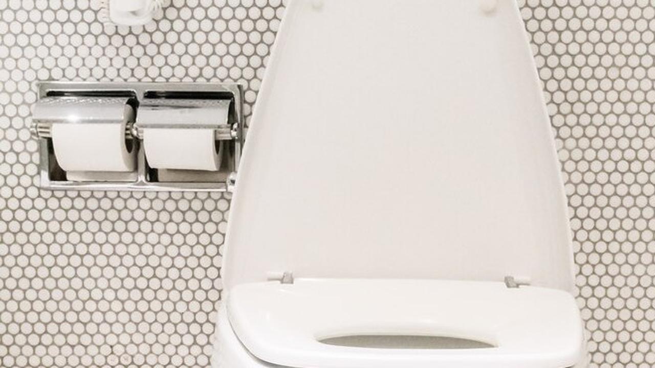 5 Toilet Termahal di Dunia, Ada yang Dibanderol Rp469 Miliar