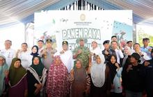 Produksi Padi Banten Melonjak 16,84 Persen pada 2025, Perkuat Swasembada Pangan Nasional