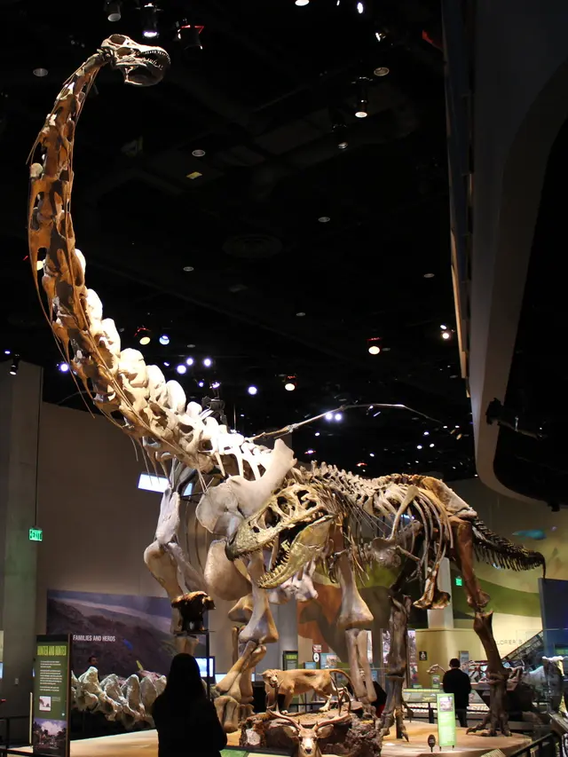 ilustrasi alamosaurus