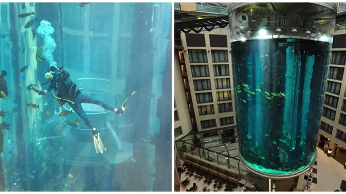 Foto: copyright whenonearth.net