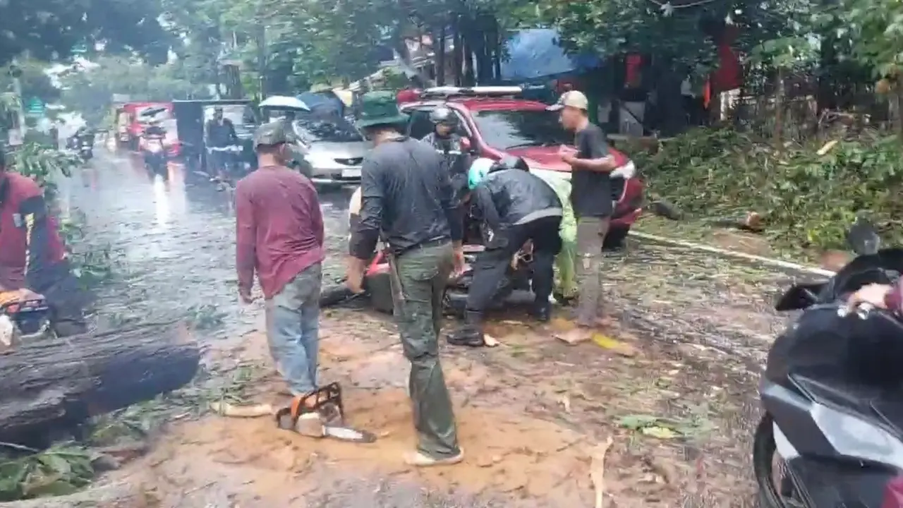 Petugas DLHK berusaha menangani pohon tumbang yang menutup akses jalan raya Sawangan, Pancoran Mas, Depok.