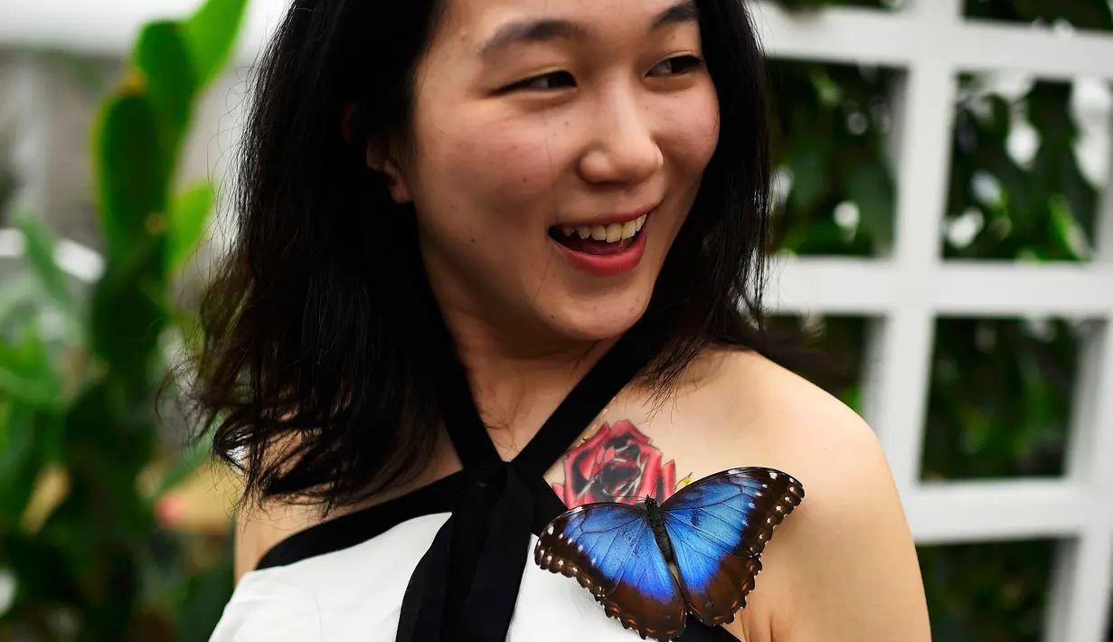 Seorang pengunjung yang merupakan wartawan TV Jepang tersenyum saat mengetahui kupu-kupu hinggap di tato bunga tubuhnya pada pameran Sensasional Butterflies di Museum Sejarah Alam,London, Inggris 23 Maret 2016. (REUTERS / Dylan Martinez)