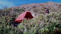 Camping di Cadas Gunung Marapi. (Liputan6.com/Novia Harlina)