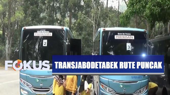 Jadwal Buka Taman Rusa - Korea Tourism Organization ...