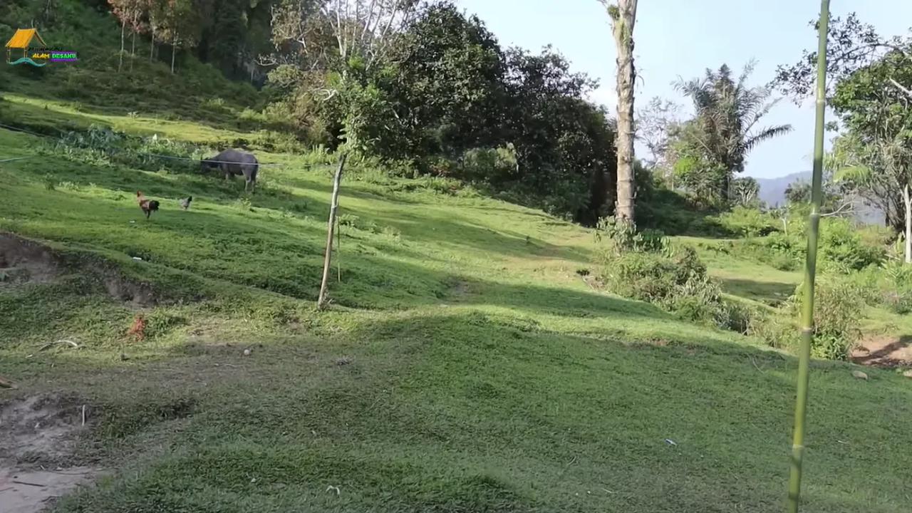 Warganya ramah