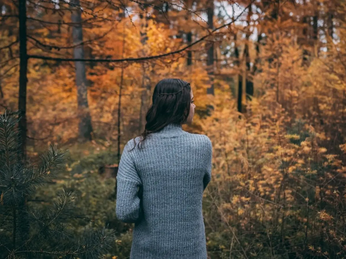 Arti Mimpi Tersesat di Hutan, Pertanda Baik atau Buruk? - Ragam